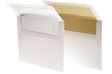 Geplasticificeerde Enveloppen