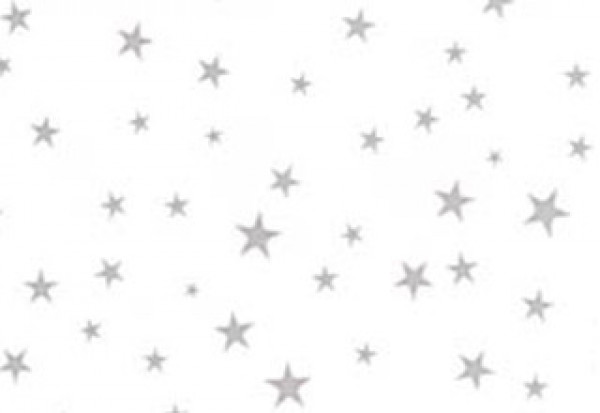 Bedrukte Zakken More Stars Zilver 12,7x7,6x29,2cm met zijvouw (100 stuks) [G5MSS]