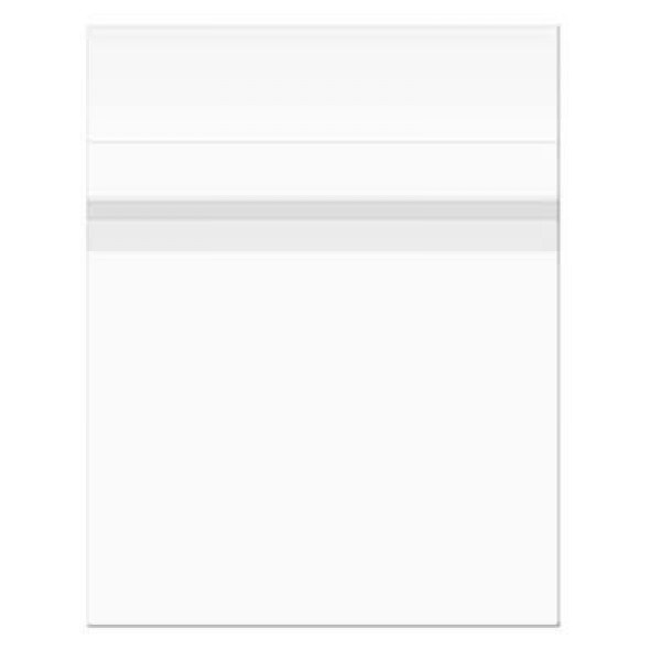 Plastic Zakken 31,6x31cm Transparant en Hersluitbaar (100 stuks) [B12XPC]