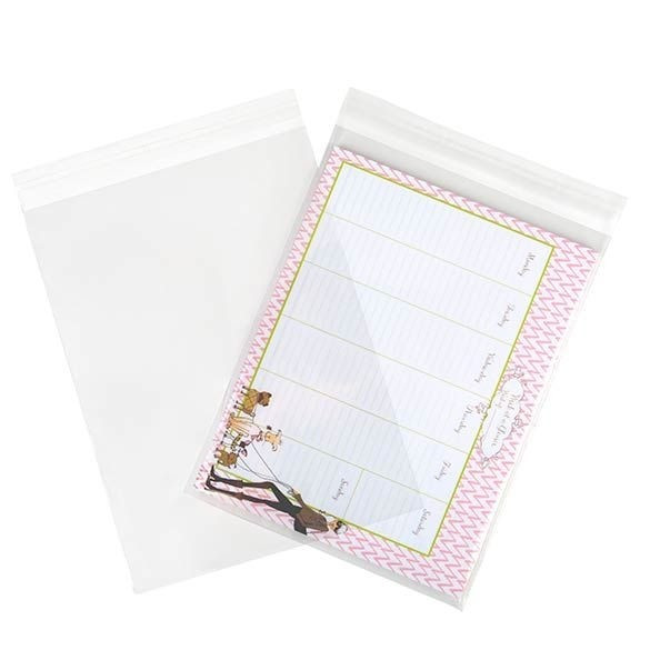 Plastic Zakken 22,9x30,5cm Transparant en Hersluitbaar (100 stuks) [B912]