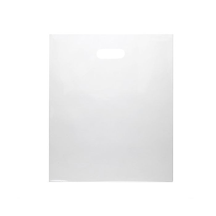 Draagtassen Plastic Helder 22,9x30,5cm 60 Micron LDPE (100 stuks) [H912CL1]