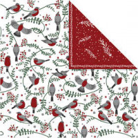 Design papier, vel 30,5x30,5 cm,  180 gr, vogels en takken, 5vellen [HOB-25340]