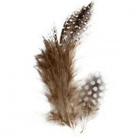 Veren van parelhoen, circa 100 stuk, nature, 3gr [HOB-51812]