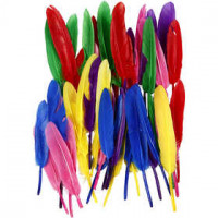 Veren, l: 13 cm, diverse kleuren, 48div [HOB-51817]
