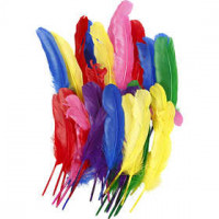 Veren, l: 20 cm, diverse kleuren, 36div [HOB-51818]