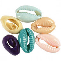 Shell, L: 20 mm, 6 pcs, asstd colours [HOB-61018]