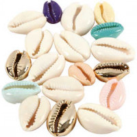 Shell, L: 20 mm, 75 pcs, asstd colours [HOB-61019]