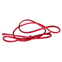 Versierelastiek Metallic Rood 25,5cm (50 stuks) [10MR]