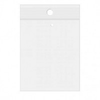 Gripzakken met Ophanggat en Luchtgat 15x23cm Kristalhelder PP 50 Micron (100 stuks) [ZR69V]