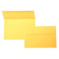 Enveloppen Zonnegeel 22,2x14,6cm Astrobright (50 stuks) [E5411]