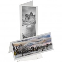 Kaarten 23,2x9,5cm Museo Artist (50 stuks) [PHD0]