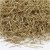 Kopspelden, l: 18 mm, dikte 0,3 mm, goud, 500gr [HOB-41111]