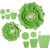 Papieren bloemen, groen, d: 15+25 cm,  230 gr, 2stuks [HOB-599907]