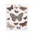 Plastic Zakken 10,8x13,7cm Transparant en Hersluitbaar (100 stuks) [B4B2]