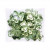 Plastic Zakken 12,7x10,8cm Transparant en Hersluitbaar (100 stuks) [B5X4]
