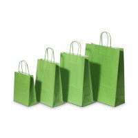 Draagtassen Papier Groen 26+12x35cm Kraft Papier 90 grams (50 stuks) [PAM2635GR]