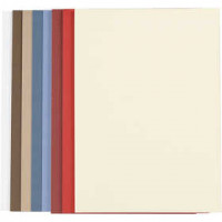 Gekleurd papier, A4 210x297 mm,  100 gr, 100div vellen [HOB-218010]