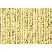 Muzieknoten karton, A4 210x297 mm,  180 gr, muzieknoten, 10vellen [HOB-219130]