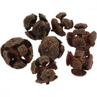 Cypress bollen, d: 20 mm,  110 gr, 40stuks [HOB-502350]