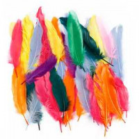Veren, l: 12-15 cm, diverse kleuren, eend, 350div [HOB-51673]