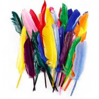 Veren, l: 17-20 cm, diverse kleuren, eend, 250div [HOB-51675]