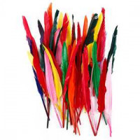 Veren, l: 29-31 cm, diverse kleuren, gans, 100div [HOB-51677]