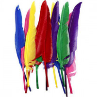 Veren, l: 27 cm, diverse kleuren, 12div [HOB-51819]