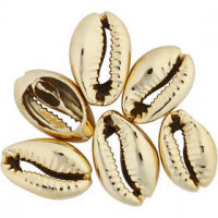 Shell, L: 20 mm, 6 pcs, gold-plated [HOB-61017]
