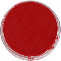 Schmink, light red, 3,5ml [HOB-76215]