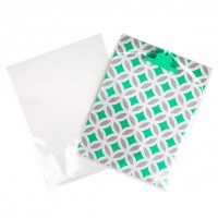 Plastic Zakken 23,5x31cm Transparant (100 stuks) [B9SNF]