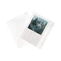 Plastic Zakken 22x14,5cm Transparant en Hersluitbaar (100 stuks) [B9X5]