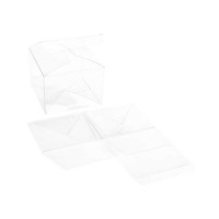 Plastic Doosjes 10,2x10,2x7,6 mm Kristalhelder Autolock Bodem (25 stuks) [PLB333]